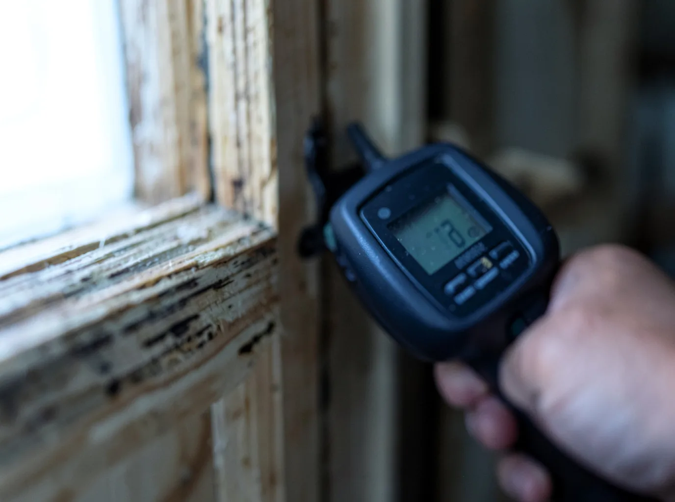 Moisture Inspection And Documentation in Umpqua, OR